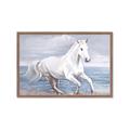 Picture of Wild Horse _GroupedProduct_Rectangle_Landscape_Framed_Matted_