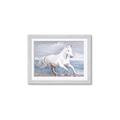 Picture of Wild Horse _GroupedProduct_Rectangle_Landscape_Framed_Matted_