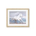 Picture of Wild Horse _GroupedProduct_Rectangle_Landscape_Framed_Matted_