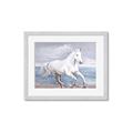 Picture of Wild Horse _GroupedProduct_Rectangle_Landscape_Framed_Matted_
