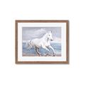 Picture of Wild Horse _GroupedProduct_Rectangle_Landscape_Framed_Matted_
