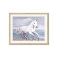 Picture of Wild Horse _GroupedProduct_Rectangle_Landscape_Framed_Matted_