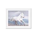 Picture of Wild Horse _GroupedProduct_Rectangle_Landscape_Framed_Matted_
