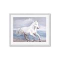 Picture of Wild Horse _GroupedProduct_Rectangle_Landscape_Framed_Matted_