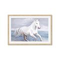 Picture of Wild Horse _GroupedProduct_Rectangle_Landscape_Framed_Matted_