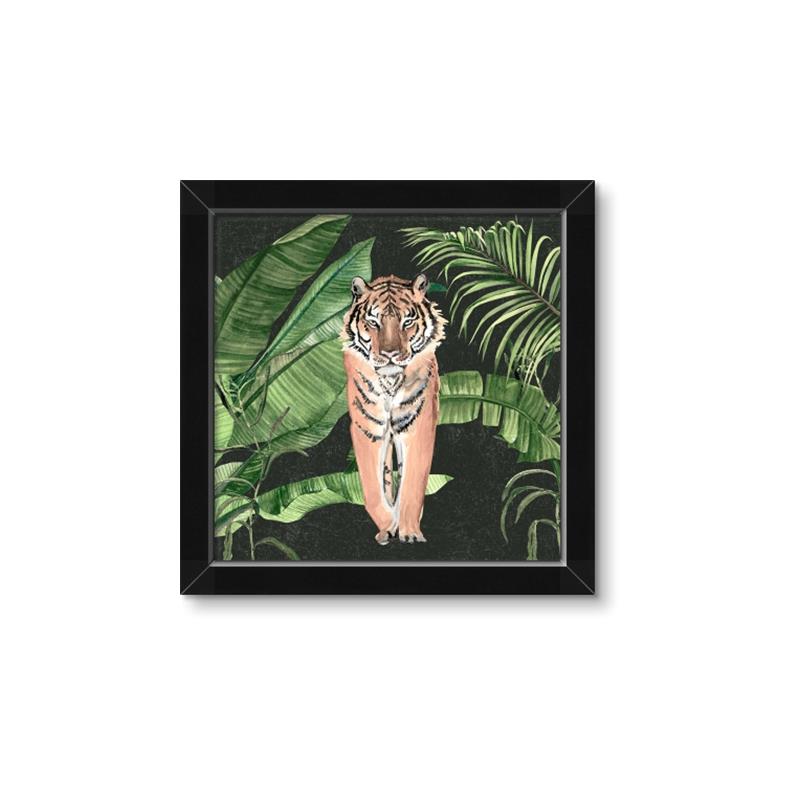 Picture of Tiger in the Jungle _GroupedProduct_Square_Framed_Matted_