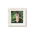Picture of Tiger in the Jungle _GroupedProduct_Square_Framed_Matted_
