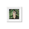 Picture of Tiger in the Jungle _GroupedProduct_Square_Framed_Matted_