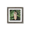 Picture of Tiger in the Jungle _GroupedProduct_Square_Framed_Matted_