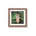Picture of Tiger in the Jungle _GroupedProduct_Square_Framed_Matted_