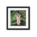 Picture of Tiger in the Jungle _GroupedProduct_Square_Framed_Matted_