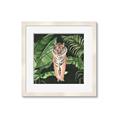 Picture of Tiger in the Jungle _GroupedProduct_Square_Framed_Matted_