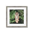 Picture of Tiger in the Jungle _GroupedProduct_Square_Framed_Matted_