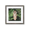 Picture of Tiger in the Jungle _GroupedProduct_Square_Framed_Matted_