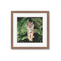 Picture of Tiger in the Jungle _GroupedProduct_Square_Framed_Matted_