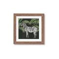Picture of Zebra In The Jungle _GroupedProduct_Square_Framed_Matted_