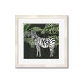 Picture of Zebra In The Jungle _GroupedProduct_Square_Framed_Matted_