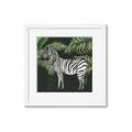 Picture of Zebra In The Jungle _GroupedProduct_Square_Framed_Matted_
