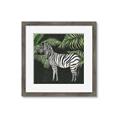 Picture of Zebra In The Jungle _GroupedProduct_Square_Framed_Matted_