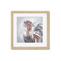 Picture of Gallic Rooster IV _GroupedProduct_Square_Framed_Matted_