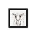 Picture of Frontal Cow Portrait _GroupedProduct_Square_Framed_Matted_