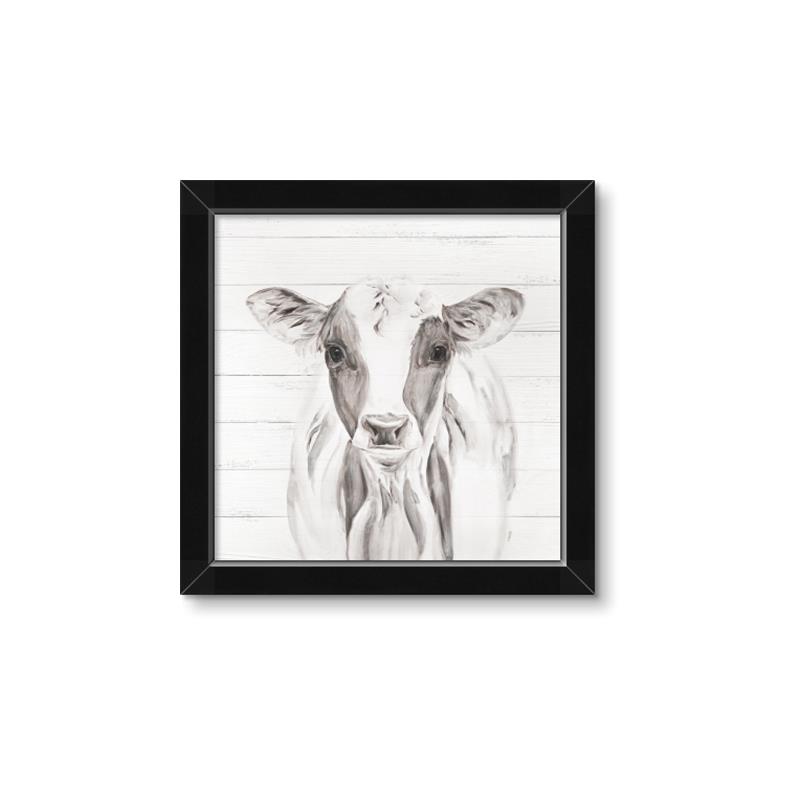 Picture of Frontal Cow Portrait _GroupedProduct_Square_Framed_Matted_
