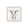 Picture of Frontal Cow Portrait _GroupedProduct_Square_Framed_Matted_
