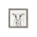 Picture of Frontal Cow Portrait _GroupedProduct_Square_Framed_Matted_