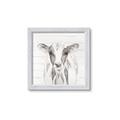 Picture of Frontal Cow Portrait _GroupedProduct_Square_Framed_Matted_