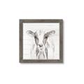 Picture of Frontal Cow Portrait _GroupedProduct_Square_Framed_Matted_