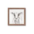 Picture of Frontal Cow Portrait _GroupedProduct_Square_Framed_Matted_
