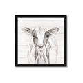 Picture of Frontal Cow Portrait _GroupedProduct_Square_Framed_Matted_