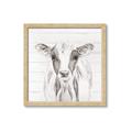 Picture of Frontal Cow Portrait _GroupedProduct_Square_Framed_Matted_
