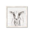 Picture of Frontal Cow Portrait _GroupedProduct_Square_Framed_Matted_
