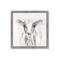 Picture of Frontal Cow Portrait _GroupedProduct_Square_Framed_Matted_