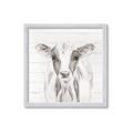 Picture of Frontal Cow Portrait _GroupedProduct_Square_Framed_Matted_