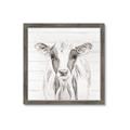Picture of Frontal Cow Portrait _GroupedProduct_Square_Framed_Matted_
