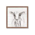 Picture of Frontal Cow Portrait _GroupedProduct_Square_Framed_Matted_