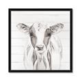 Picture of Frontal Cow Portrait _GroupedProduct_Square_Framed_Matted_