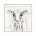 Picture of Frontal Cow Portrait _GroupedProduct_Square_Framed_Matted_