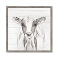 Picture of Frontal Cow Portrait _GroupedProduct_Square_Framed_Matted_