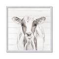 Picture of Frontal Cow Portrait _GroupedProduct_Square_Framed_Matted_