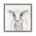 Picture of Frontal Cow Portrait _GroupedProduct_Square_Framed_Matted_