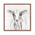 Picture of Frontal Cow Portrait _GroupedProduct_Square_Framed_Matted_