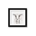 Picture of Frontal Cow Portrait _GroupedProduct_Square_Framed_Matted_