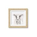 Picture of Frontal Cow Portrait _GroupedProduct_Square_Framed_Matted_