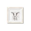 Picture of Frontal Cow Portrait _GroupedProduct_Square_Framed_Matted_