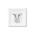 Picture of Frontal Cow Portrait _GroupedProduct_Square_Framed_Matted_