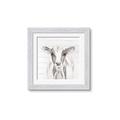 Picture of Frontal Cow Portrait _GroupedProduct_Square_Framed_Matted_