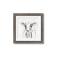 Picture of Frontal Cow Portrait _GroupedProduct_Square_Framed_Matted_